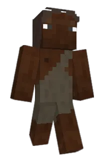 Metrivel Minecraft avatar full body