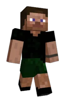 Metro1819 Minecraft avatar full body