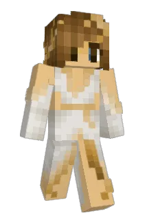 Metropoline Minecraft avatar full body