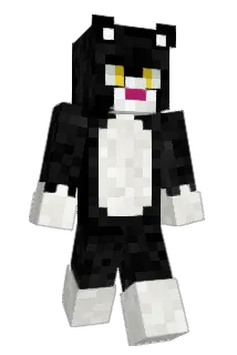 Mettwerk Minecraft avatar full body