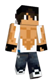 Meyer Minecraft avatar full body