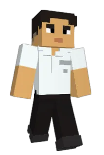Mhiggy Minecraft avatar full body