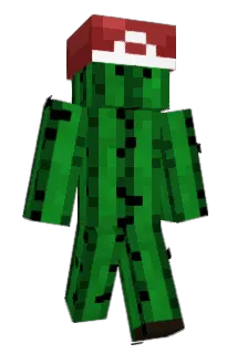 Micag Minecraft avatar full body