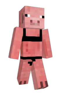 MichaelMcFlyy Minecraft avatar full body