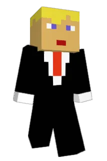 Michel799 Minecraft avatar full body