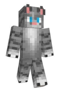 Michelkatze Minecraft avatar full body