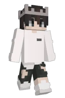 MicheyHD Minecraft avatar full body