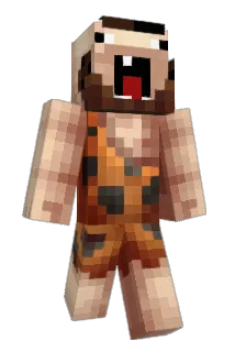 Michlem Minecraft avatar full body