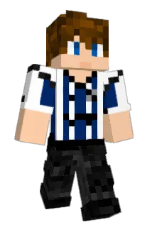 Micka1250 Minecraft avatar full body