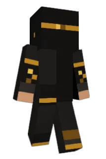Micro_AE Minecraft avatar full body