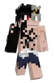 Midaxx1 Minecraft avatar full body