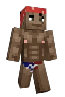 Miechooo Minecraft avatar full body