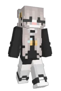 Mietek22 Minecraft avatar full body