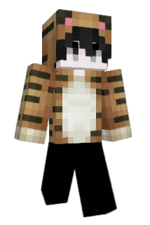Mihai Minecraft avatar full body