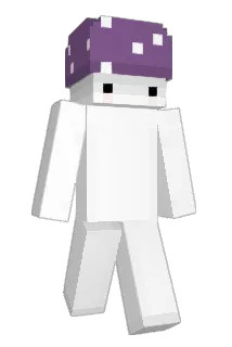 Miichen Minecraft avatar full body