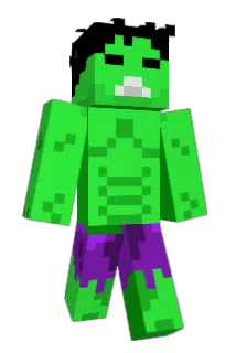 MiixR Minecraft avatar full body