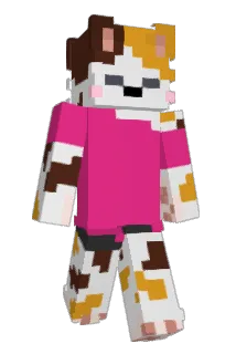 MikeDeBike Minecraft avatar full body