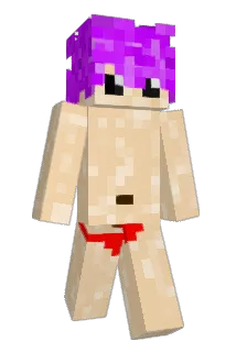 Mil33k Minecraft avatar full body