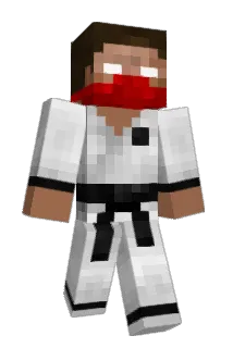 MilitaerStandard Minecraft avatar full body