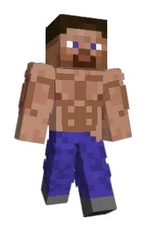 Milleslol Minecraft avatar full body