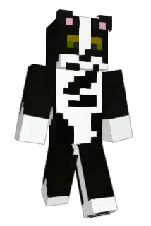Mimiru57 Minecraft avatar full body