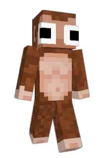 Mimmo_Elytra Minecraft avatar full body