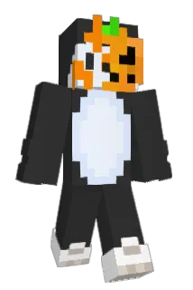 Mimoflop Minecraft avatar full body