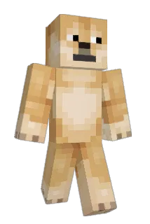 Minchisan Minecraft avatar full body