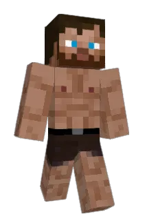 MinerXVI Minecraft avatar full body