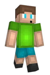 Minerpro313 Minecraft avatar full body