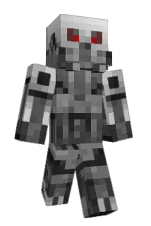 MiniFrosch Minecraft avatar full body