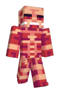 MiniShoe_ Minecraft avatar full body