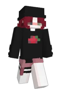 MiniTet Minecraft avatar full body