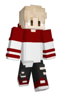 Mini_pro_2 Minecraft avatar full body