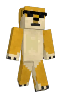 Minigod958 Minecraft avatar full body