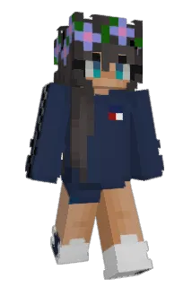 Minimia110 Minecraft avatar full body