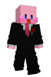 Minisolid22 Minecraft avatar full body