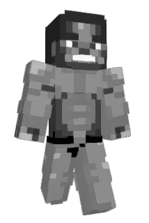 Minivan04 Minecraft avatar full body
