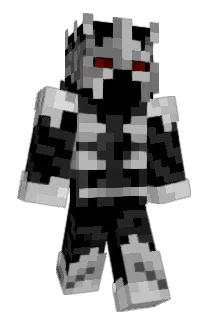 Minizin1 Minecraft avatar full body