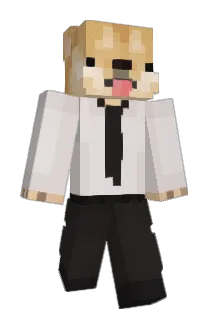 Minofuku Minecraft avatar full body