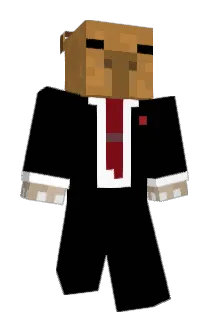 Minon228 Minecraft avatar full body