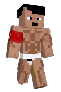 MintSalt1828059 Minecraft avatar full body