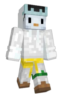 Minvydaass Minecraft avatar full body