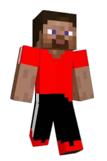 MirMoney Minecraft avatar full body