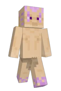 MiraBronx Minecraft avatar full body