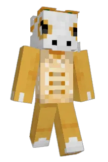 MiseryCat Minecraft avatar full body