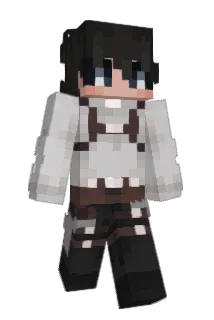 Misfit00 Minecraft avatar full body