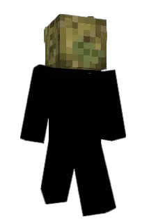Mish_Dax Minecraft avatar full body