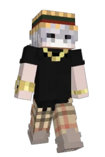 Misinformations Minecraft avatar full body