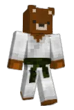 Misiunio Minecraft avatar full body